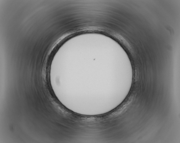 X0000113340828200909151004