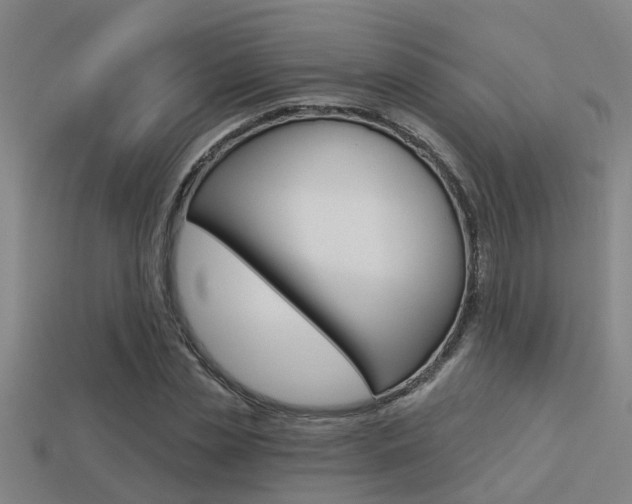 X0000113340829200909151004