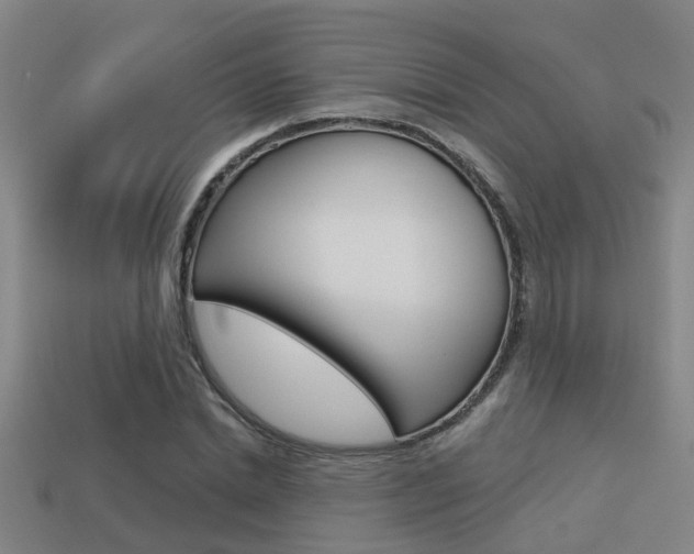 X0000113340830200909151004