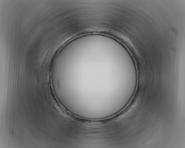 X0000113340833200909151004
