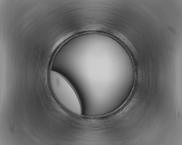 X0000113340834200909151004