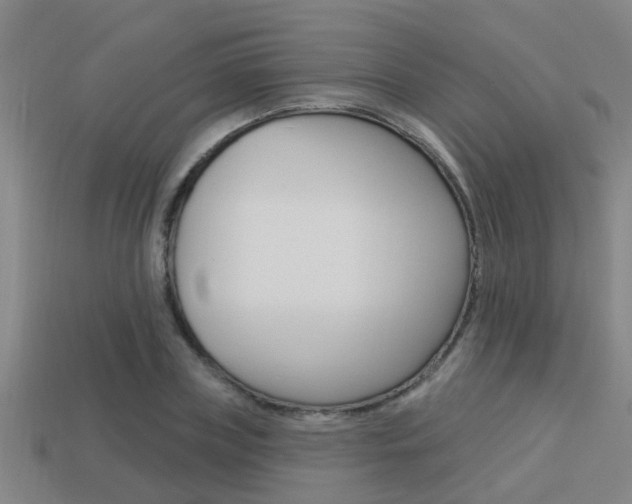 X0000113340835200909151004
