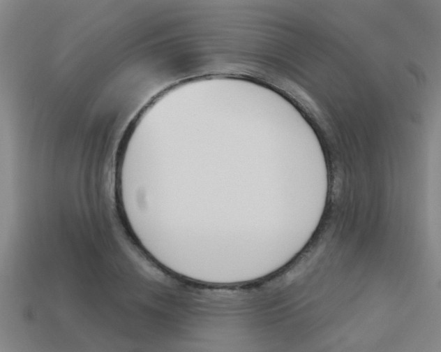 X0000113340836200909151004