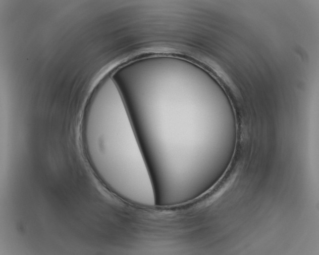 X0000113340837200909151004