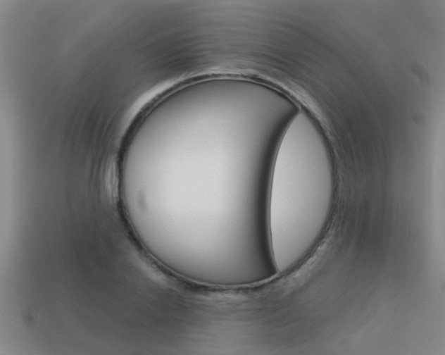 X0000113340838200909151004
