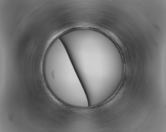 X0000113340839200909151004