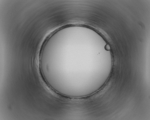 X0000113340840200909151004