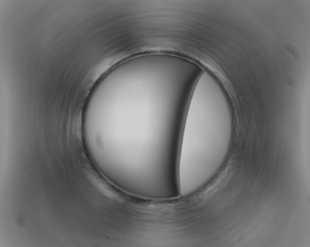 X0000113340842200909151004