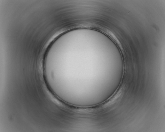 X0000113340843200909151004