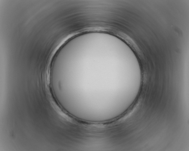 X0000113340844200909151004