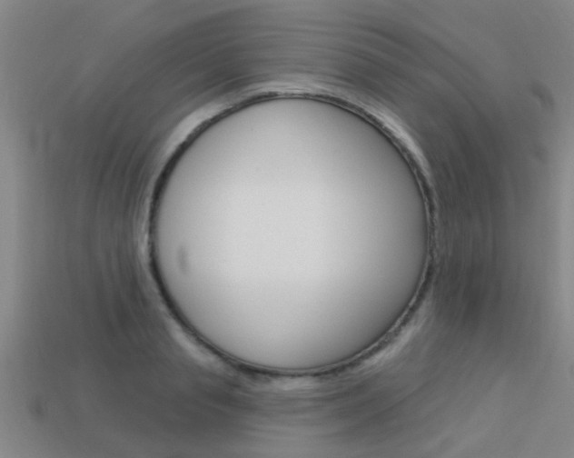 X0000113340845200909151004