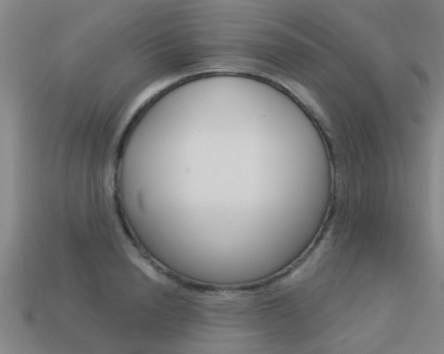 X0000113340846200909151004
