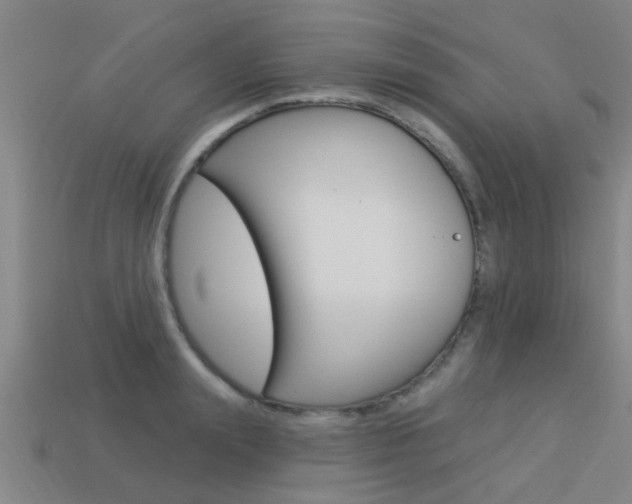 X0000113340847200909151004