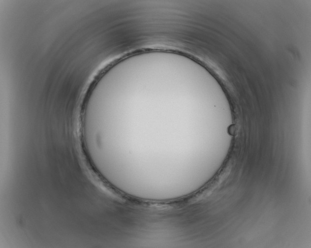 X0000113340848200909151004