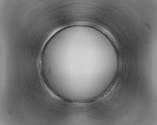 X0000113340852200909151004
