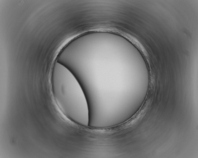 X0000113340855200909151004