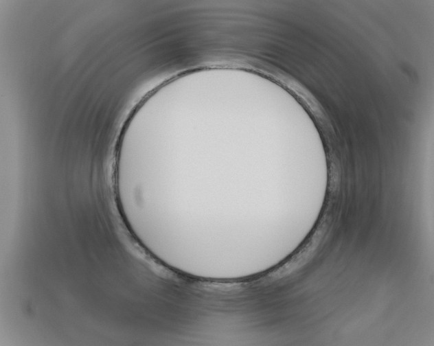 X0000113340856200909151004