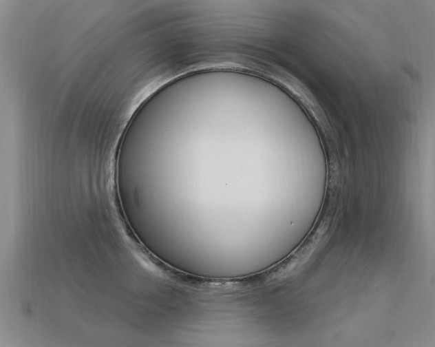 X0000113340858200909151004