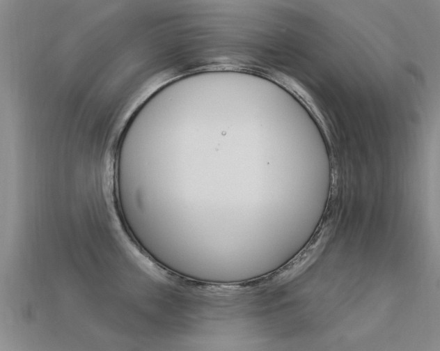 X0000113340859200909151004