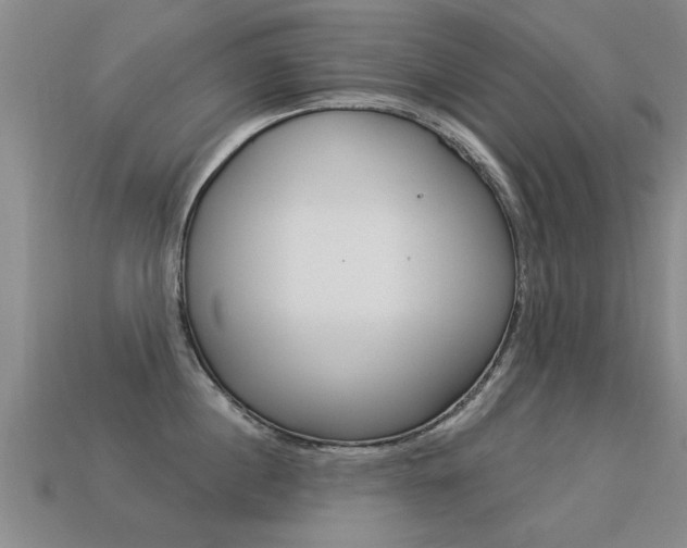 X0000113340860200909151004