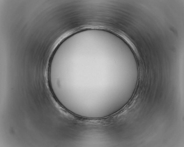 X0000113340861200909151004