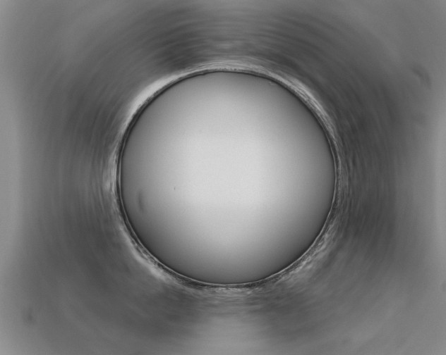 X0000113340862200909151004