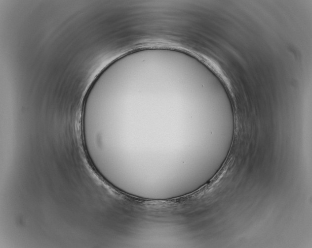 X0000113340863200909151004