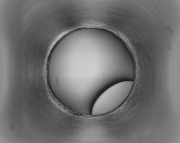 X0000113340864200909151004
