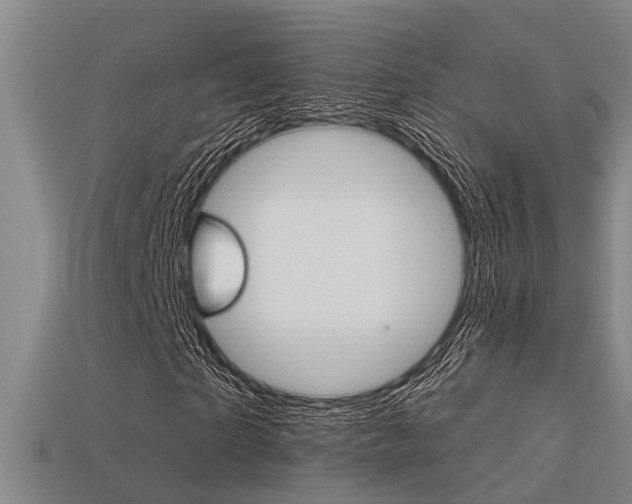 X0000113340865200909151003