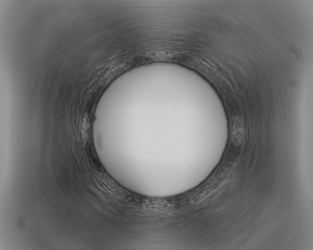 X0000113340866200909151003