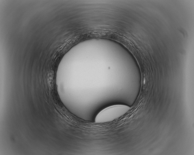 X0000113340867200909151003
