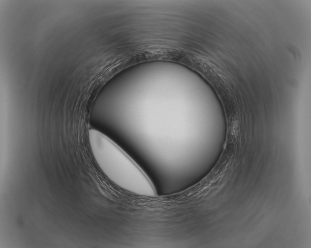 X0000113340868200909151003