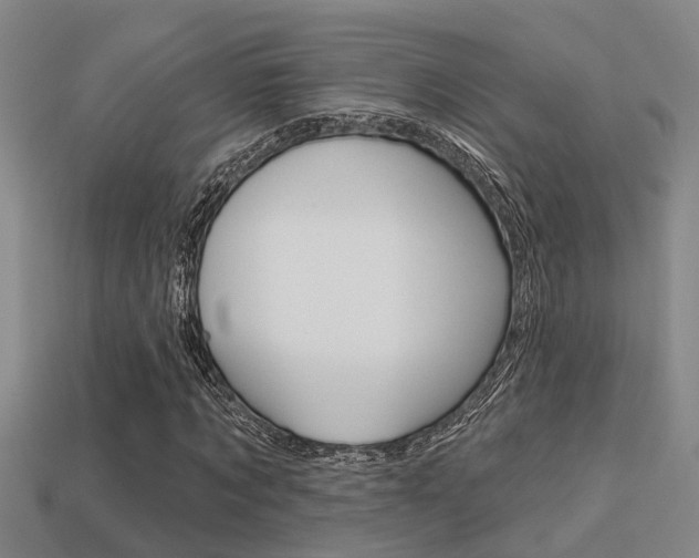 X0000113340869200909151003