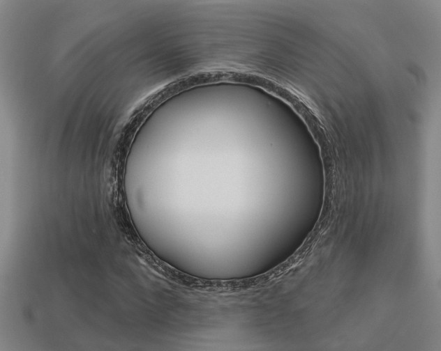 X0000113340872200909151003