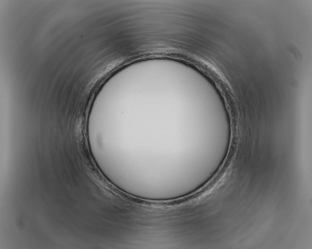 X0000113340873200909151003