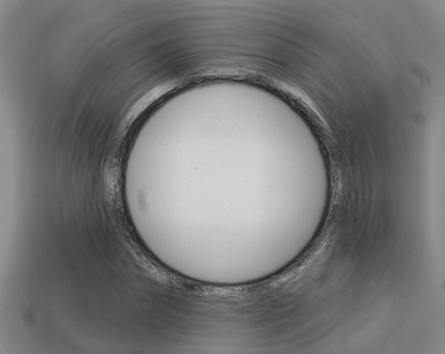 X0000113340874200909151003