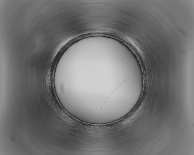 X0000113340875200909151003