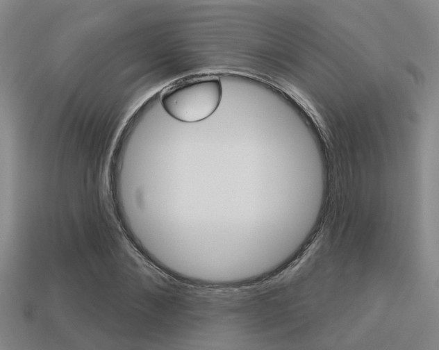 X0000113340876200909151003