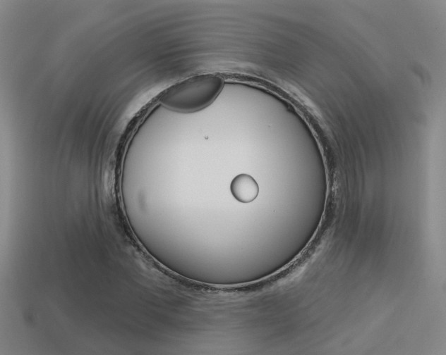 X0000113340877200909151003