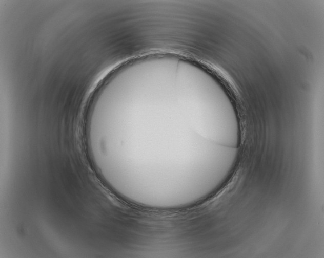 X0000113340878200909151003