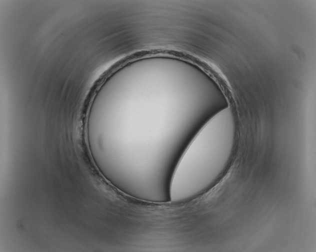 X0000113340879200909151003