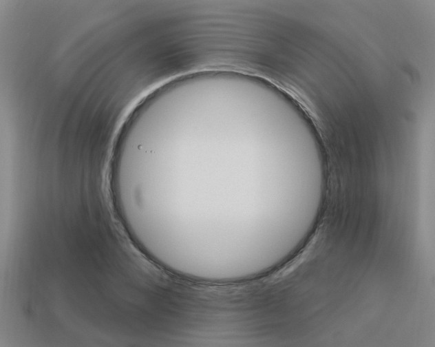 X0000113340880200909151003