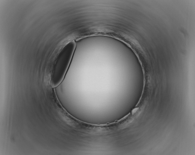 X0000113340881200909151003
