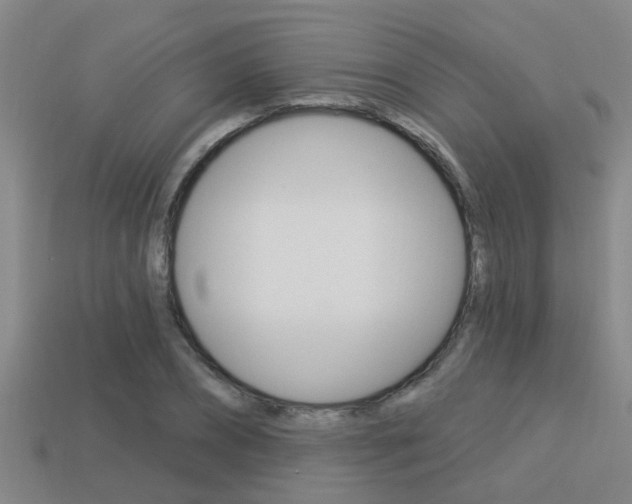 X0000113340882200909151003