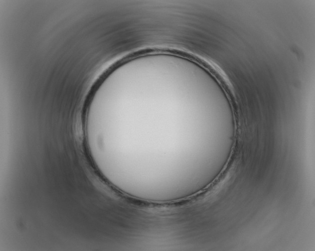 X0000113340887200909151003