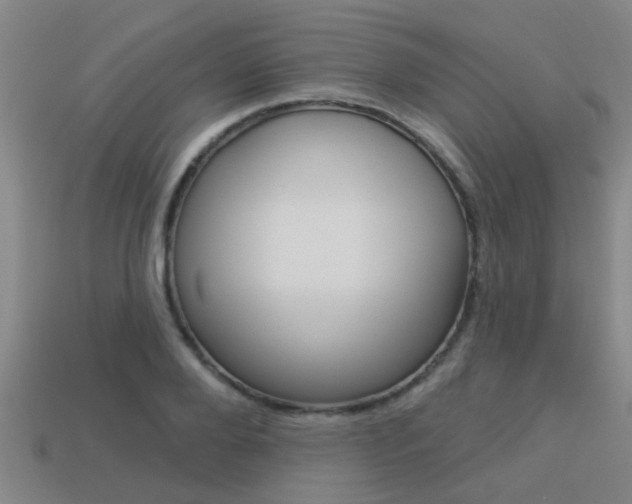 X0000113340888200909151003