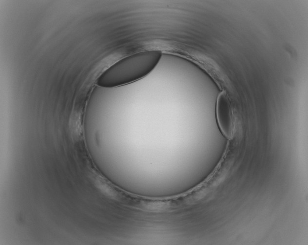 X0000113340889200909151003