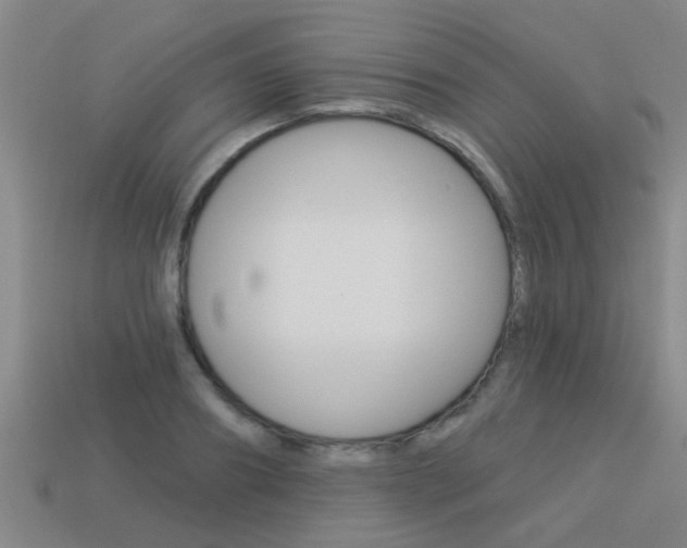 X0000113340890200909151003