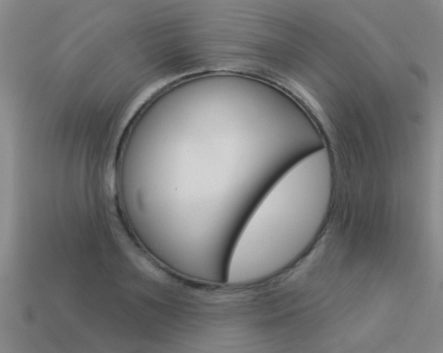 X0000113340891200909151003
