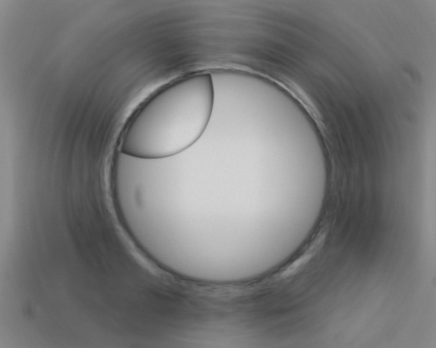 X0000113340893200909151003